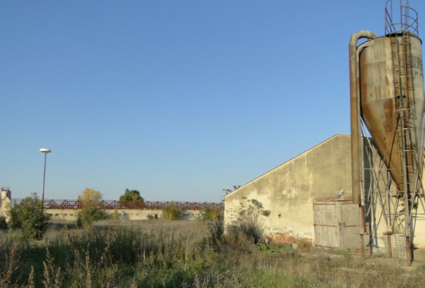 Hétfőn a Környezetvédelmi Minisztérium előtt tüntetnek a dánok új, magyarlakta területen épülő giga-sertéstelepe ellen
