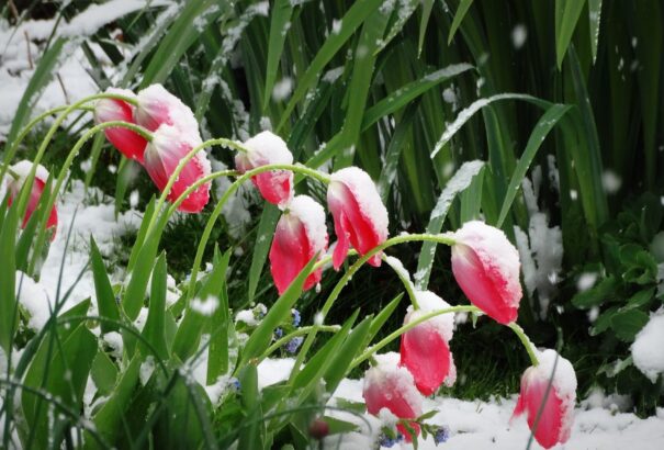 A hétvégén érkező jelentős lehűlés havazásban fog kicsúcsosodni