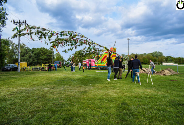 Májusfaállítás parasztolimpiával – Vidáman köszöntötték a májust a Csilizközben