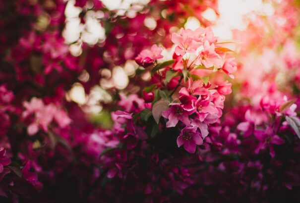 Kellemes, melegedő idő lesz május második napján