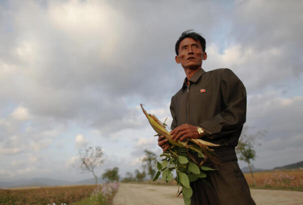 Napi 300 gramm. Észak-Korea visszavágta a napi élelmiszer fejadagokat