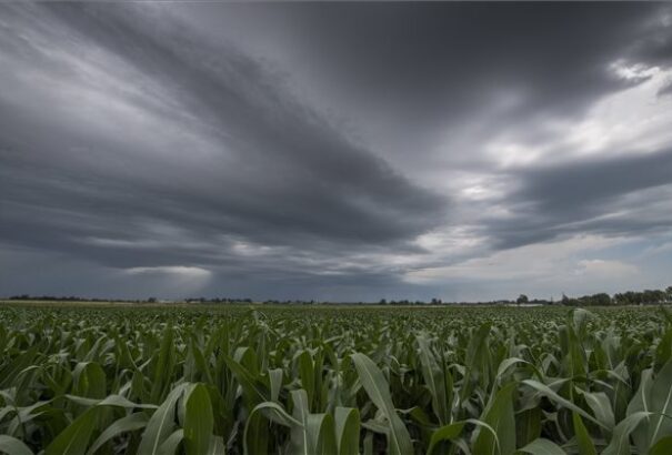 Esős, viharokkal tarkított időre van kilátás szombaton