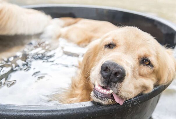 „Pokoli” hét: vasárnapig tart a kánikula