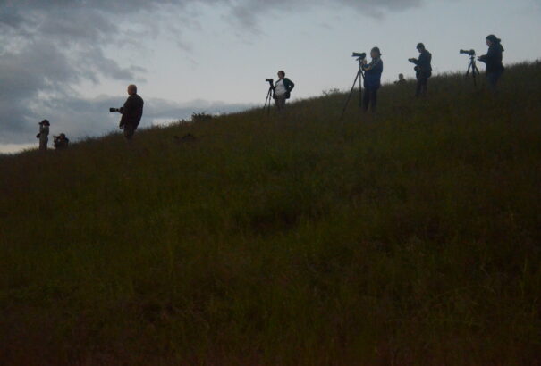 Bolhádi Fotós Forgatag