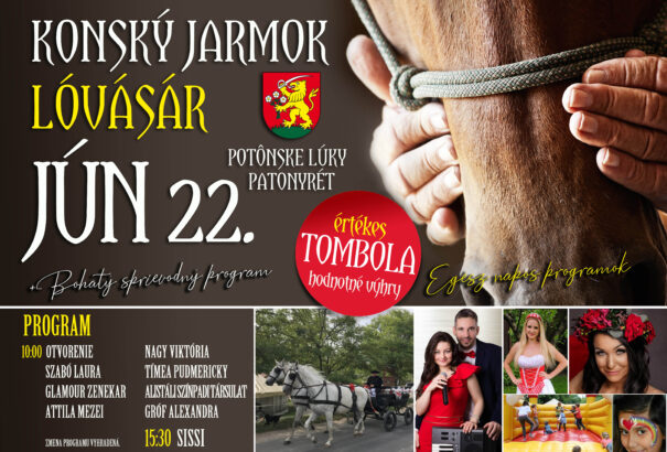 A régmúlt időket idézik fel Patonyréten – lóvásárt rendeznek