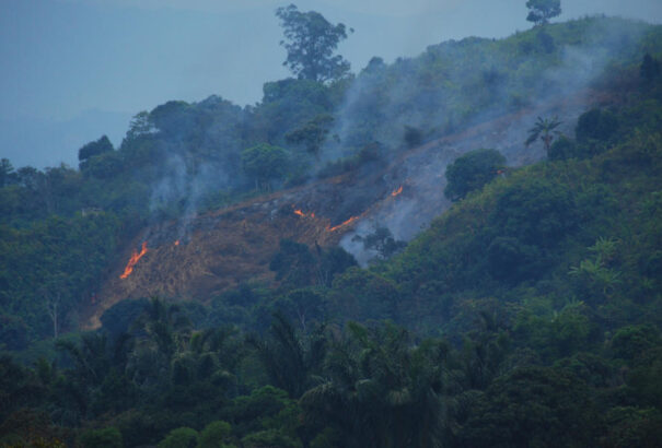 WWF: Túlfogyasztás van Magyarországon – Túl magas az ökológiai lábnyom