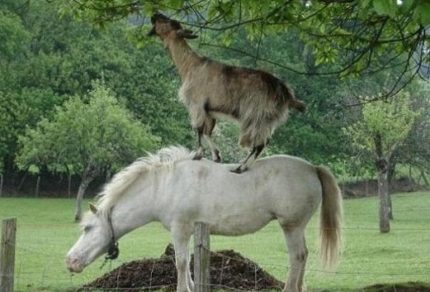 Nem a felvidéki magyarok, hanem a felvidéki magyar politikai elit került válságba