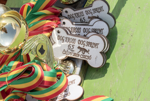 Nagy sikere volt a csicsói akadálypályás kutyás terepfutóversenynek