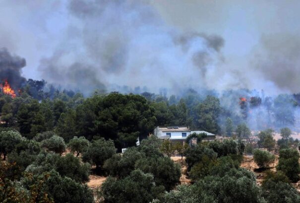 Erdőtüzek pusztítanak Portugáliában