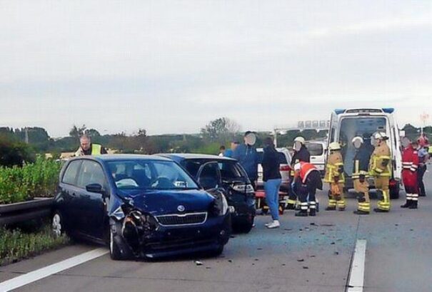 Tömegbalesetet okozott egy hattyú az autópályán