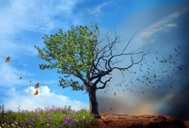 Meteo Klinika: egyre többeknek okoz panaszt az időjárás-változás