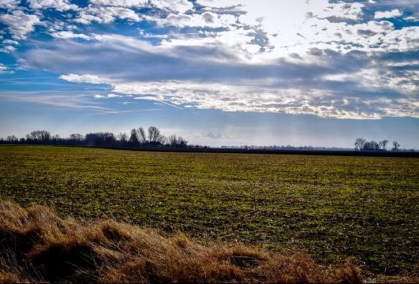 A mezőgazdasági minisztérium felgyorsítaná a földrendezést – 30 éves távlatban tervez
