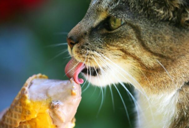 30 fok feletti maximumokkal tér vissza a hőség