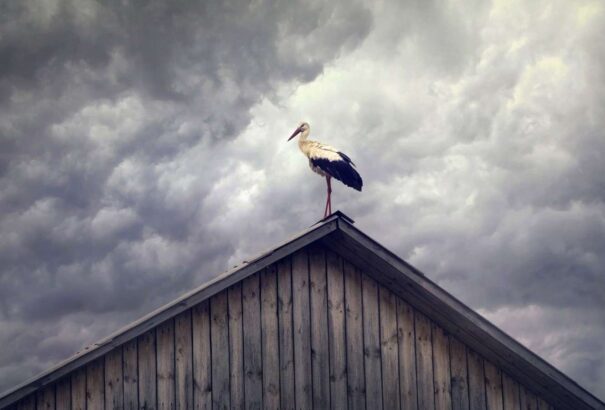 Felhős, esős idővel zárul a munkahét