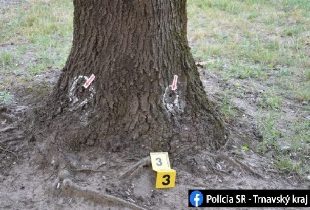 Valaki fákat mérgez meg Dunaszerdahelyen, a rendőrség már vizsgálódik