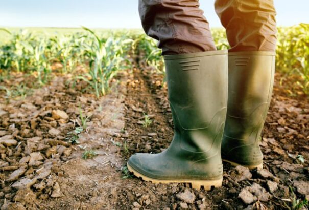 Igazságtalan a rendszer: A minisztérium változtatna a szlovák agrárium támogatáspolitikáján