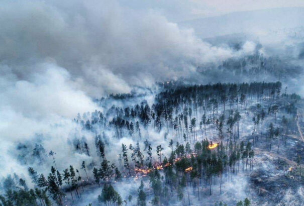 Egy évszázadra lesz szükség a leégett szibériai erdők regenerálódásához
