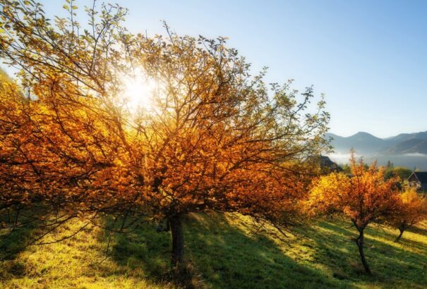 Hétvégén átlagon felüli hőmérsékletekkel tér vissza a vénasszonyok nyara