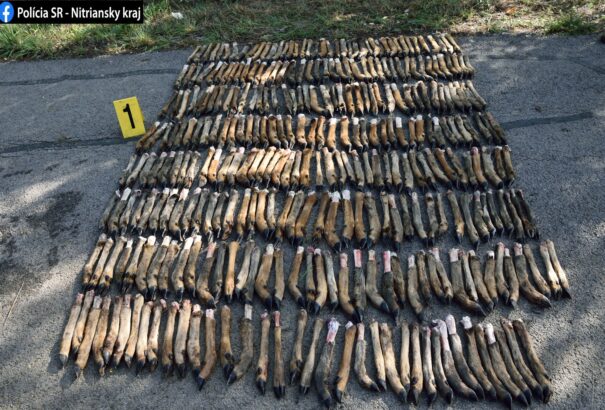 Nyolcvan őzet lőtt ki egy ismeretlen elkövető Dél-Szlovákiában