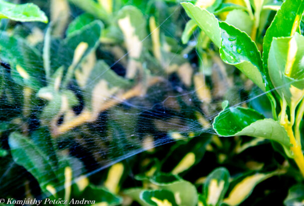 Napos, őszies időnk lesz szerdán