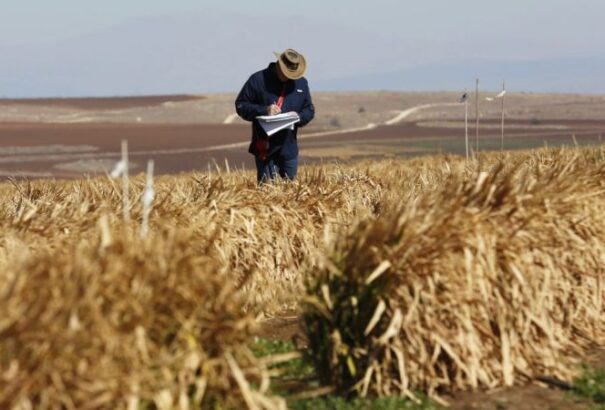 A NAKA eljárást indított a J&T két mezőgazdasági vállalata ellen szubvenciós csalás miatt
