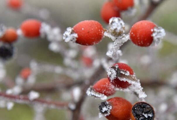 Jövő hét közepén megérkezik a hűvös, őszi időjárás