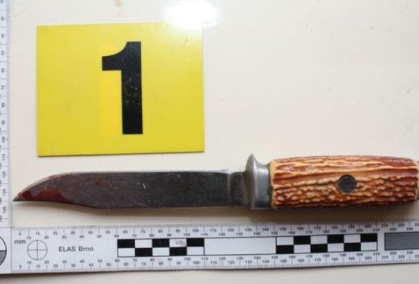 Gyilkossági kísérlet miatt tartóztattak le egy 18 éves nőt Dunaszerdahelyen