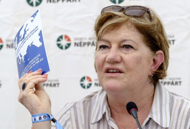 Szili Katalin: a nemzeti kisebbségek ügye nem belügy, hanem európai ügy