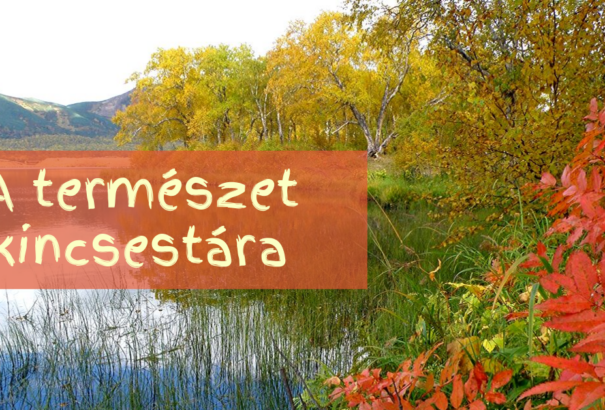 Fedezzük fel a természetet!
