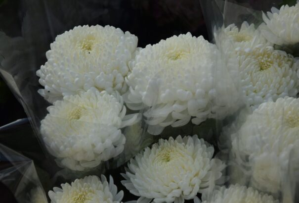 Fokozottan ügyeljünk értékeinkre a temetőlátogatások során