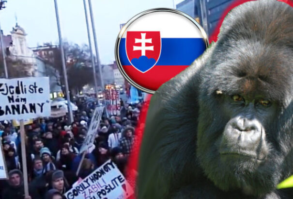 A Most-Híd és az MKP is reagált a Gorilla-ügyre