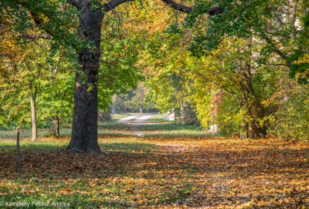 Ilyen volt a vénasszonyok nyara az Alsó-Csallóközben – Képek