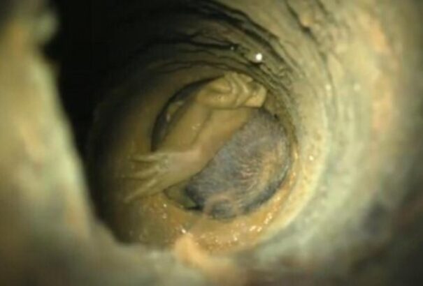 Harmadik napja dolgoznak egy kútba esett kétéves fiú kimentésén