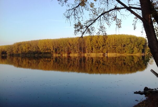 Az arany-ősz szépségei a komáromi vízpartokon