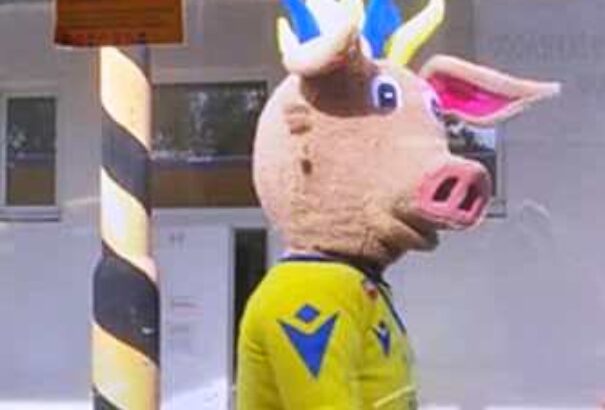 Indul a szavazás Mangalaciról!