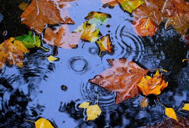 Rideg, esős szombat vár ránk