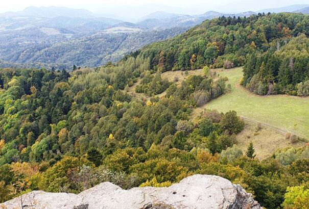 Írjunk programot Felvidéknek