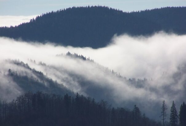 Borús, esős, ködös idővel zárul a hét