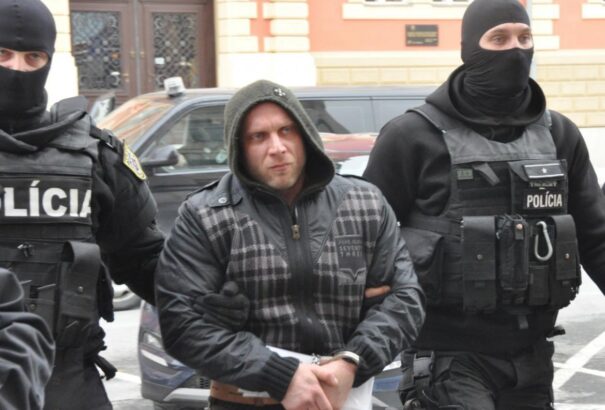 Zsuzsová sofőrjét négy év letöltendőre ítélték