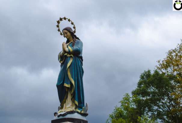 Csallóköz esős oldala – Képriport