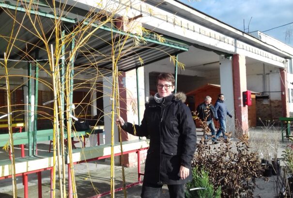 Sikerrel járt a komáromi KompAkt szervezet faültetési kezdeményezése