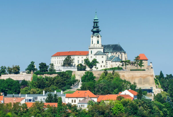 Nyitra kilépett a ZMOS-ból