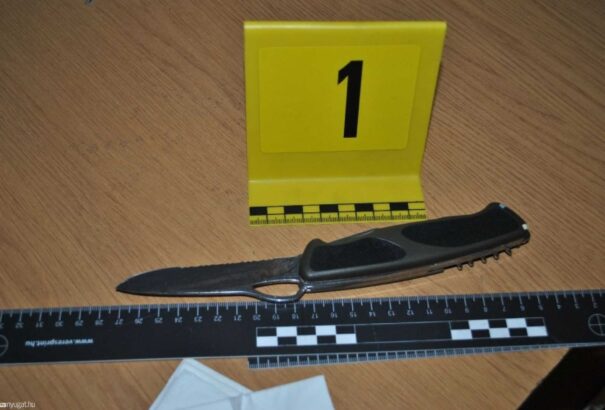 Jövő héten kiengedhetik a kórházból a győri iskolában megkéselt tanárnőt