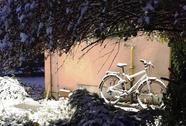 Havas Pozsony, havas Budapest, havas Felvidék – Képek