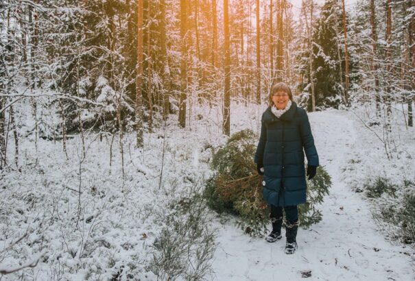 Észtországban azt a karácsonyfát vágják ki az emberek, amit az alkalmazás javasol