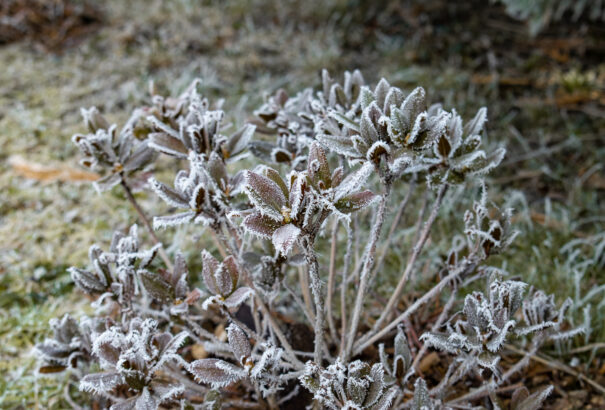 Hétvégén jönnek a komoly fagyok, akár mínusz 18 fok is lehet