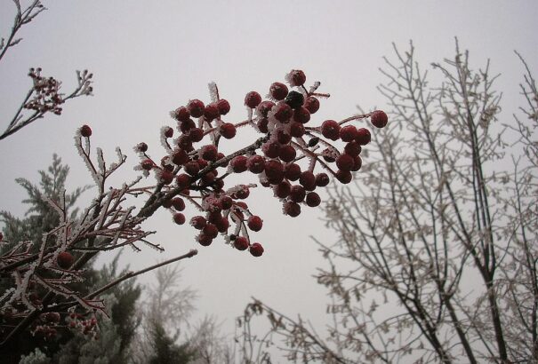 Az évszakhoz képest meleg vasárnapunk lesz