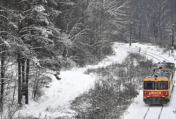 Az ország északi részén havazni, a délnyugati részén esni fog