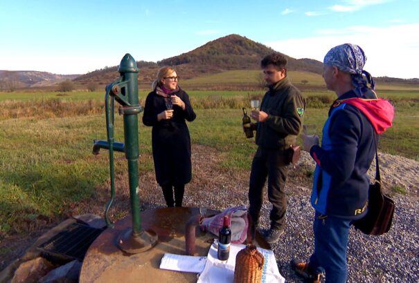 Borbás Marcsi hazaért