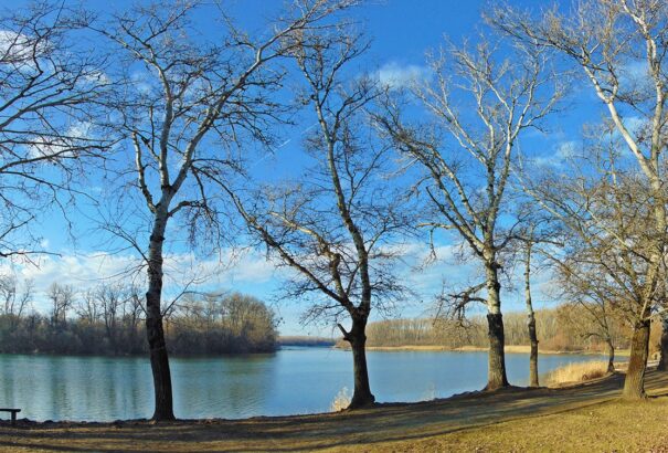 Verőfényes napsütéssel indul az új év